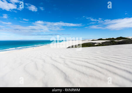 Le dune di sabbia bianca e blu oceano a De Hoop National Park, Sud Africa Foto Stock