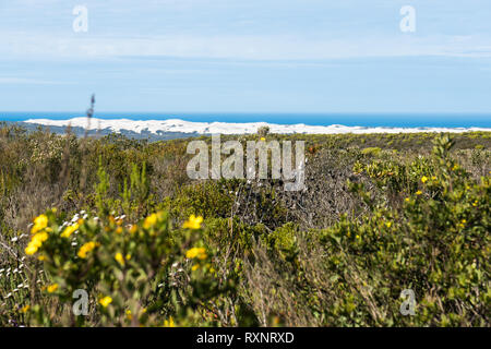 Le dune di sabbia bianca e blu oceano a De Hoop National Park, Sud Africa Foto Stock