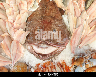Pesce fresco al mercato del pesce in stallo, nel centro di una grande rana pescatrice Foto Stock