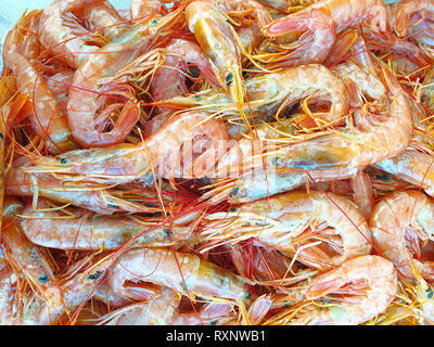 Rosso gamberetti argentino su ghiaccio per la vendita, pesce locale di stallo sul mercato con prodotti freschi e piatti di pesce di sbrinamento Foto Stock