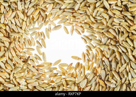 Bianco spazio libero è circondato da grano. Strato piatto con spazio per il testo. Vuoto sullo sfondo bianco. Sfondo bianco con grano Foto Stock