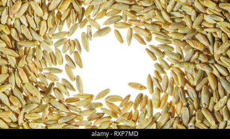 Bianco spazio libero è circondato da grano. Strato piatto con spazio per il testo. Vuoto sullo sfondo bianco. Sfondo bianco con grano Foto Stock
