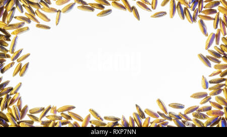 Bianco spazio libero è circondato da grano. Strato piatto con spazio per il testo. Vuoto sullo sfondo bianco. Sfondo bianco con grano Foto Stock