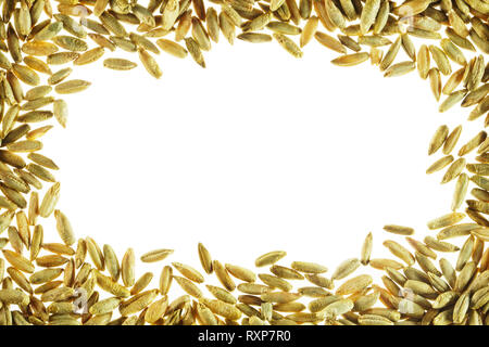 Bianco spazio libero è circondato da grano. Strato piatto con spazio per il testo. Vuoto sullo sfondo bianco. Sfondo bianco con grano Foto Stock