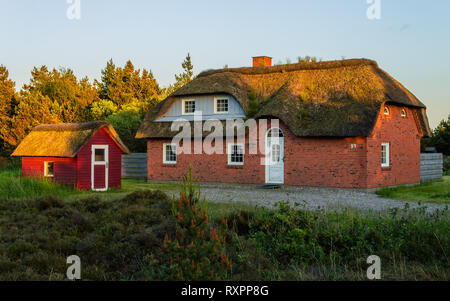 Vista panoramica di un mattone tradizionale casa costruita, tetto in paglia e piccolo cottage con molti verde in primo piano. Romo, Tonder, Danimarca. Europa Foto Stock