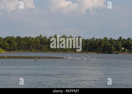 Scenic Kerala Fiume e Houseboat Foto Stock