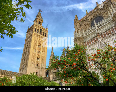 Cattedrale di Sevilla e Giralda, Andalusia, Spagna Foto Stock