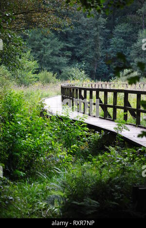 Ponte marschflats in Munster, Germania. Prese durante l'estate. Foto Stock