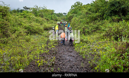 Gli escursionisti alpinismo Monte vulcano Nyiragongo nella Repubblica democratica del Congo Foto Stock