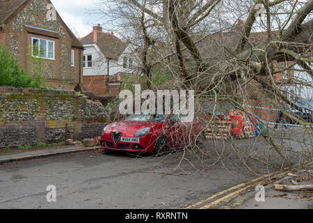 Marlow, Regno Unito. Il 10 marzo 2019. Un albero è caduto nel corso di venti alti in Marlow, la struttura ad albero è venuto giù attraverso Mill Road ed è venuto a poggiare sul tetto del Principe di Galles pub. Credito: Peter Manning/Alamy Live News Foto Stock