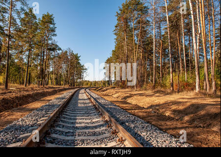 Ferrovia abbandonata sotto gli alberi dipinte in autunno. Giornata di sole. Tunnel dell'amore. Foto Stock