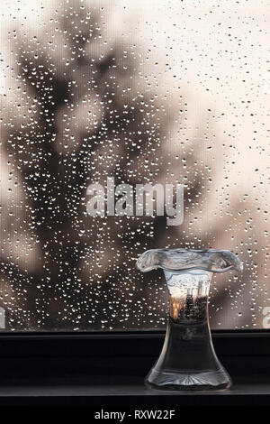Un vaso in un davanzale, contro uno sfondo di gocce di pioggia, riflette gli alberi e il cielo Foto Stock