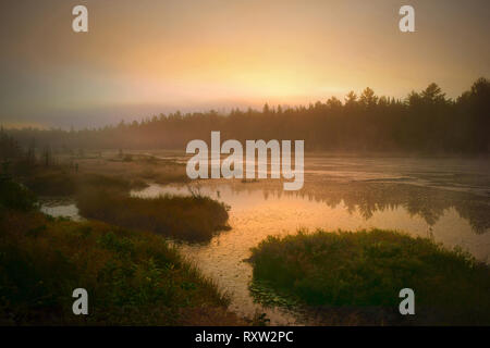 Autunno alba a bog lungo l'autostrada 11, vicino al lago di Temiskaming,Ontario, Canada Foto Stock