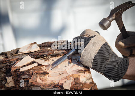 L'uomo le mani in guanti da lavoro utilizzando un martello e scalpello sulla corteccia di un ceppo di albero/log. Foto Stock