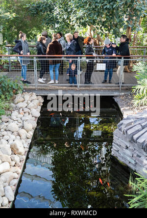 Un folto gruppo di persone su una passerella con un bambino guardando goldfish nello stagno di seguito. Foto Stock