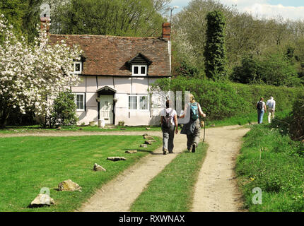 Ramblers su un inglese pista rurale passando un caratteristico cottage Foto Stock