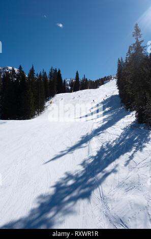 Italia piste da sci - Vista delle piste in una giornata di sole in marzo, Madonna di Campiglio, Dolomiti di Brenta, Italia Europa Foto Stock