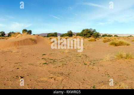 Bellissimo paesaggio nel deserto del Sahara, Marocco Foto Stock
