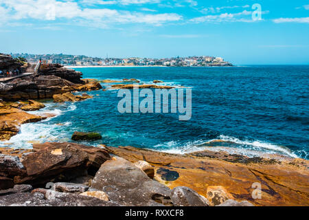 Per Bondi e Coogee a piedi a Sydney, Nuovo Galles del Sud, Australia Foto Stock