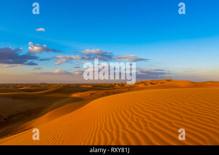 Le dune di sabbia del deserto di Dubai, Emirati Arabi Uniti Foto Stock