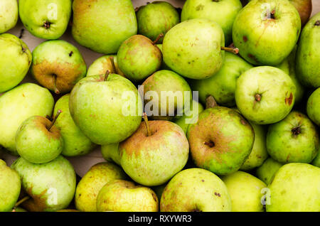 Apple lo sfondo di frutta Foto Stock