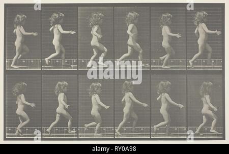 Locomozione animale, la piastra 469. Eadweard Muybridge; inglese, attivo degli Stati Uniti, 1830-1904. Data: 1887. Dimensioni: 20 × 32,3 cm (immagine); 34,9 × 49,9 cm (carta); 48,7 × 61,3 cm (mount). Collotipia, da "locomotiva animale'. Origine: Inghilterra. Museo: Chicago Art Institute. Foto Stock