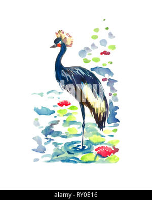 Nero Crowned Crane (Balearica pavonina) in piedi in stagno con rosa lotus, isolato dipinte a mano illustrazione ad acquerello Foto Stock