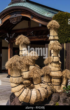 Komo giapponese-maki o komomaki è alberi di avvolgimento con un riso stuoia di paglia per proteggerli dagli elementi. Questo è spesso visto in giardini giapponesi in e Foto Stock