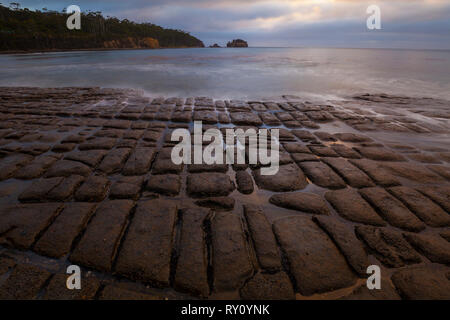 Pavimentazione a mosaico - Forestier penisola - Tasmania Foto Stock