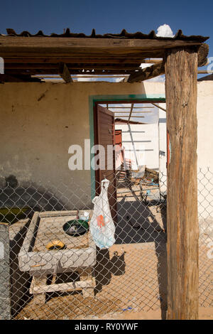 Sahuaro, MPO. Caborca, Sonora, Messico Foto Stock