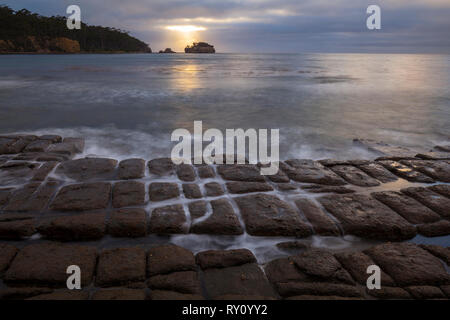 Pavimentazione a mosaico - Forestier penisola - Tasmania Foto Stock