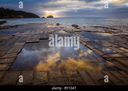 Pavimentazione a mosaico - Forestier penisola - Tasmania Foto Stock