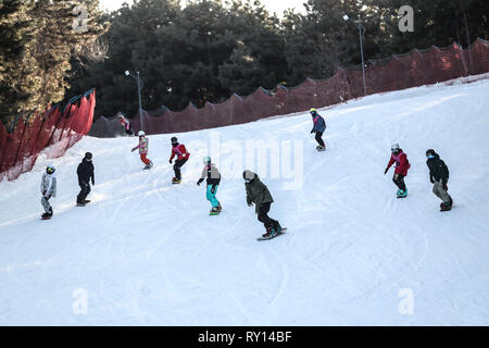 (190311) -- SHENYANG, 11 marzo 2019 (Xinhua) -- Bambini praticare lo sci durante una sessione di formazione a Shenyang Sport University, a Shenyang del nord-est della Cina di Provincia di Liaoning, il 23 gennaio, 2019. Ci sono una trentina di bambini da 8 a 16 anni studiando snowboard halfpipe a Shenyang Sport University. Alcuni di loro vogliono diventare atleti professionisti, e alcuni di loro vogliono solo per avere un assaggio di questo sport. Come Pechino 2022 Giochi invernali si avvicinò di più e più persone in Cina, compresi i giovani studenti, ha cominciato a imparare e a partecipare nel ghiaccio e sport della neve. (Xinhua/Pan Yulong) Foto Stock