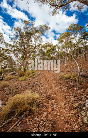 Gola di Werribee Victoria Australia Foto Stock