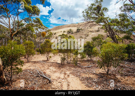 Gola di Werribee Victoria Australia Foto Stock