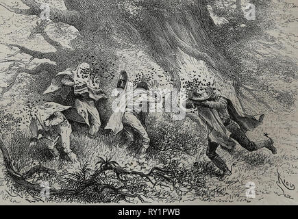 America equonoccial. Erruption di vespe in La Vanguardia. Incisione del XIX secolo. Foto Stock