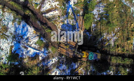 Vista aerea dei registri sull'accatastamento sul terreno nell'area forestale Foto Stock