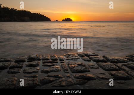 Pavimentazione a mosaico - Forestier penisola - Tasmania Foto Stock