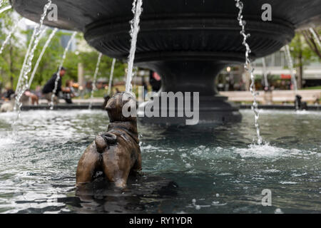 Cane Fontana nel parco Berczy. Toronto, Canada Foto Stock