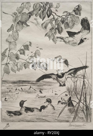 Lapwings e alzavole, 1862. Félix Bracquemond (Francese, 1833-1914), Alfred Cadart. Incisione; foglio: 40 x 27,9 cm (15 3/4 x 11 in.); piastra: 29,3 x 20,6 cm (11 9/16 x 8 1/8 in Foto Stock