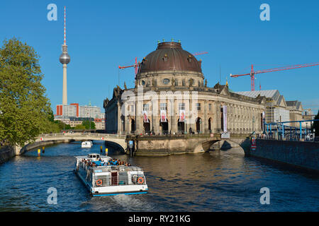 Bodemuseum, Museumsinsel, nel quartiere Mitte di Berlino, Deutschland Foto Stock