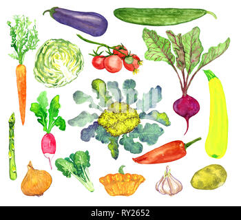Raccolta di verdure, isolato dipinte a mano illustrazione ad acquerello Foto Stock