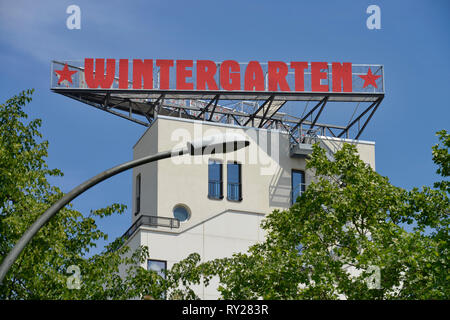 Wintergarten, Potsdamer Strasse e il Tiergarten, nel quartiere Mitte di Berlino, Deutschland Foto Stock