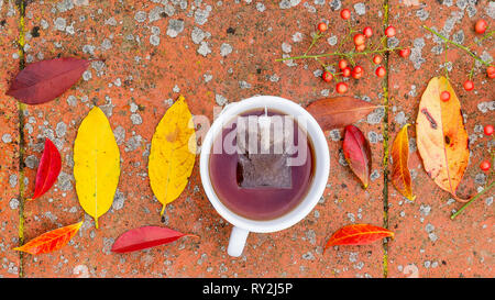 Bella la vita ancora in composizione con una tazza piena di tè di bacche e autunno-foglie colorate Foto Stock