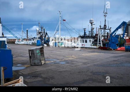 PETERHEAD, Aberdeenshire, Scotland, Regno Unito. Il 7 luglio 2017. Piccole barche da pesca ormeggiate accanto al porto. Svuota cestino della spazzatura in primo piano Foto Stock