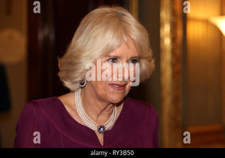 La duchessa di Cornovaglia presso l annuale Giornata del Commonwealth la ricezione a Marlborough House, la casa di al Segretariato del Commonwealth a Londra. Foto Stock