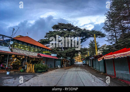 Bcharre cedri di Dio foresta UNESCO World Heritage Site Strada Principale Foto Stock