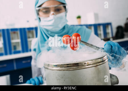 Femmina scienziato musulmano tenendo i pomodori con le pinzette sulla pentola con ghiaccio secco durante la sperimentazione in laboratorio Foto Stock