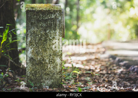 Il vecchio chilometri marcatore è fatta di cemento con la strada nella foresta. Il concetto di turismo viaggi. Foto Stock