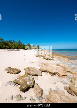 Coral, strada bianca spiaggia, remota spiaggia tropicale, rock Suono, Eleuthera, Bahamas, dei Caraibi. Foto Stock